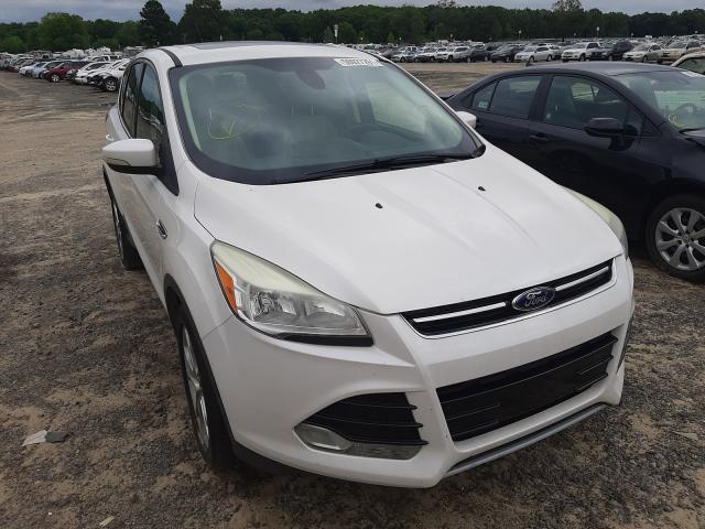 Ford Escape sel (2013)