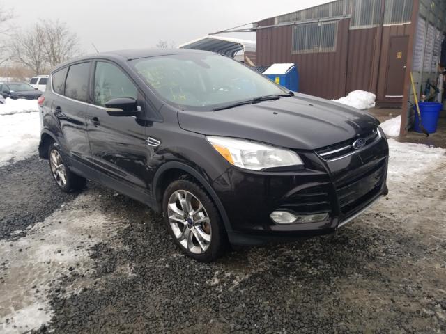 Ford Escape sel (2013)