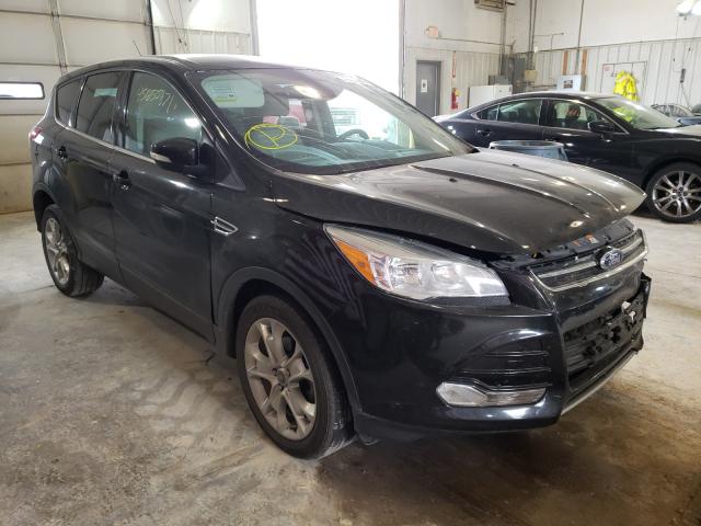 Ford Escape sel (2013)