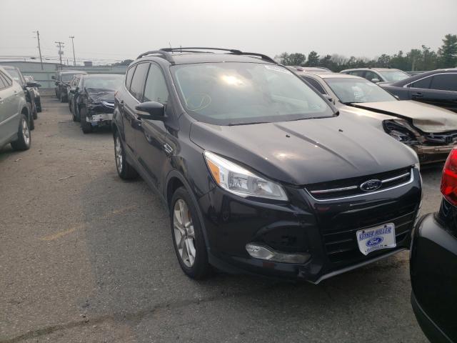Ford Escape sel (2013)