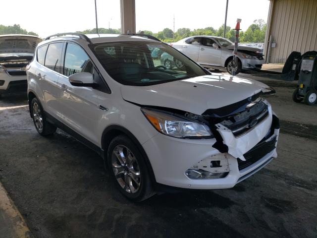 Ford Escape sel (2013)