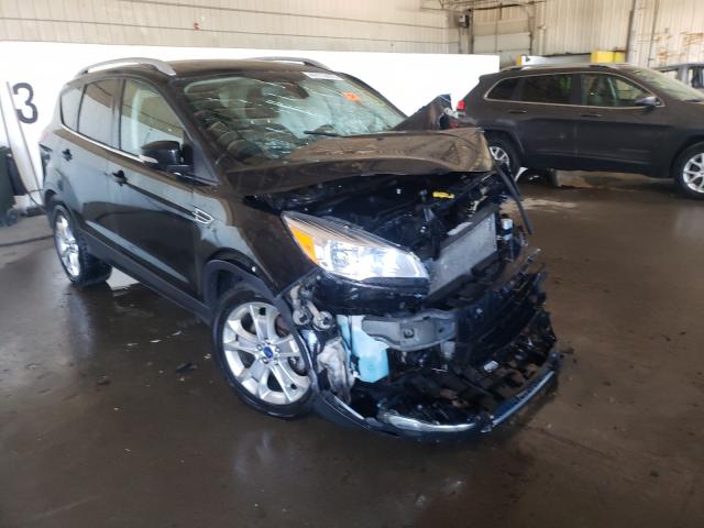 Ford Escape tit (2014)