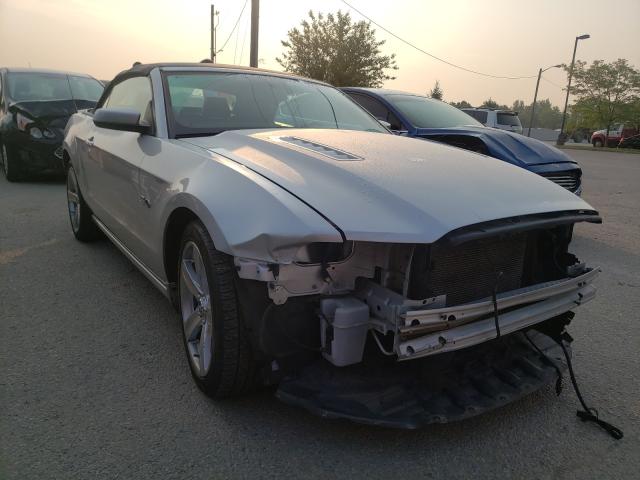 Ford Mustang gt (2014)