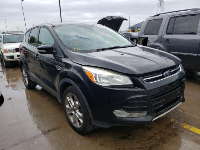 Ford Escape sel (2013)