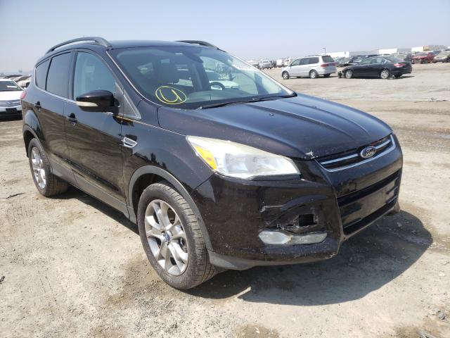 Ford Escape sel (2013)