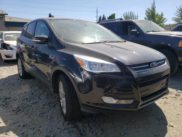 Ford Escape sel (2013)