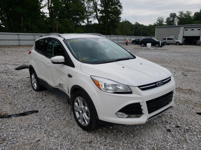 Ford Escape tit (2015)