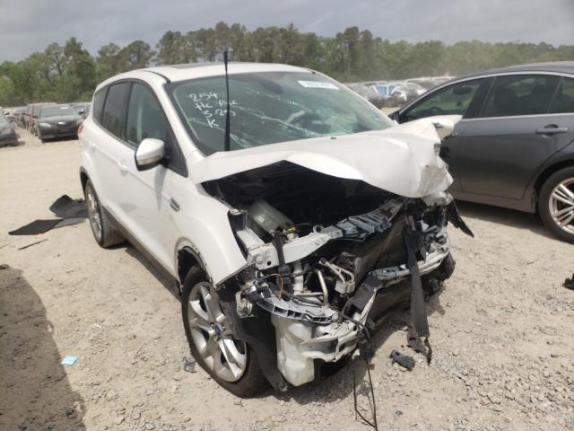 Ford Escape sel (2013)