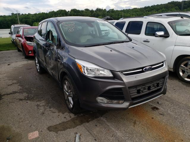 Ford Escape sel (2013)