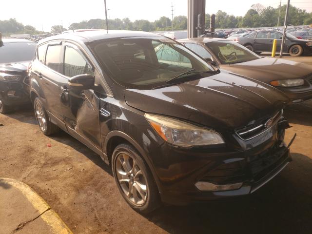 Ford Escape sel (2013)