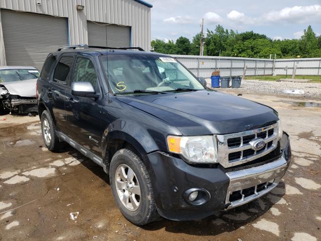 Ford Escape hyb (2010)