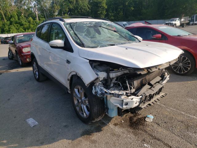 Ford Escape sel (2013)