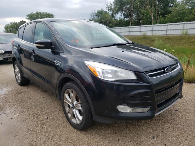 Ford Escape sel (2013)