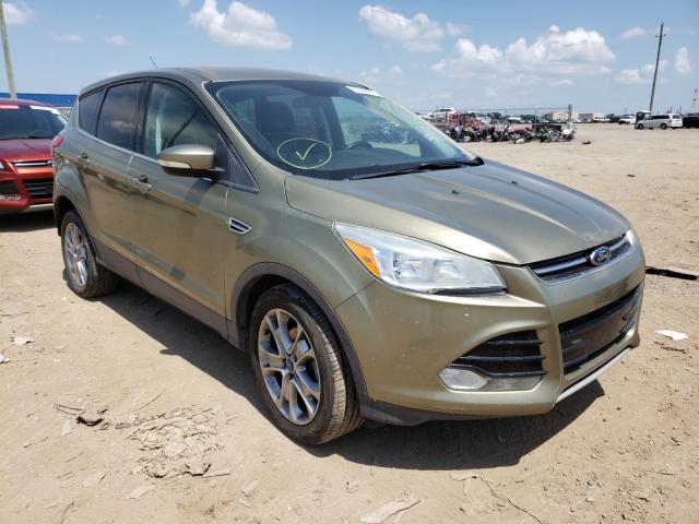 Ford Escape sel (2013)