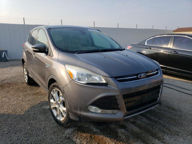 Ford Escape sel (2013)