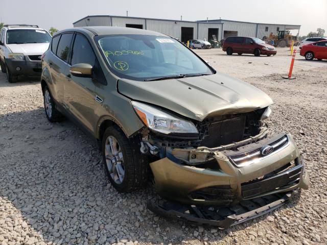 Ford Escape sel (2013)