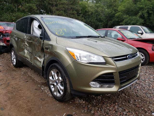 Ford Escape sel (2013)