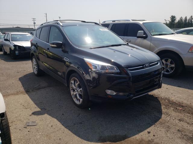 Ford Escape tit (2014)