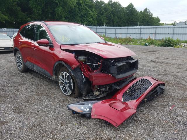 Ford Escape sel (2020)