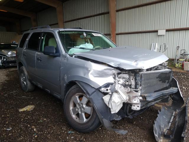 Ford Escape xlt (2010)