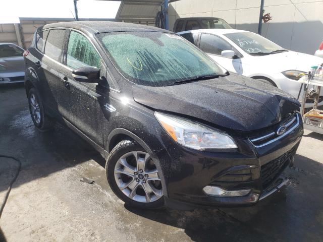 Ford Escape sel (2013)
