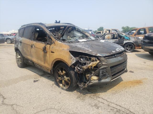 Ford Escape tit (2015)