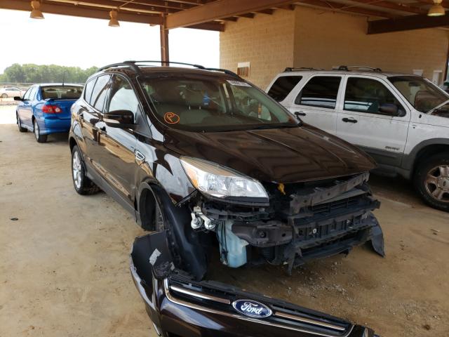 Ford Escape sel (2013)