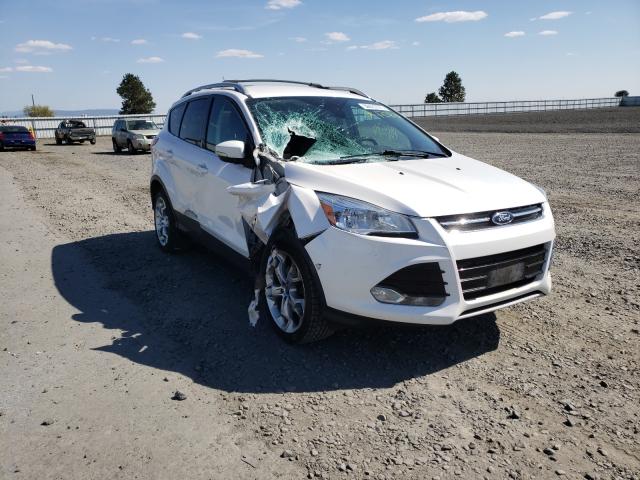 Ford Escape tit (2014)