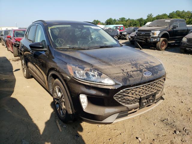 Ford Escape sel (2020)