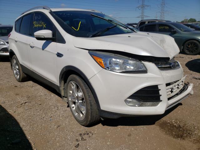 Ford Escape tit (2015)