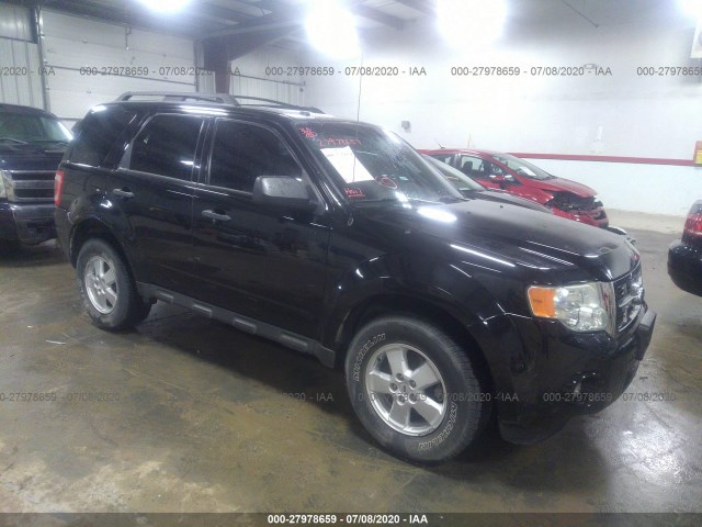 Ford Escape (2010)