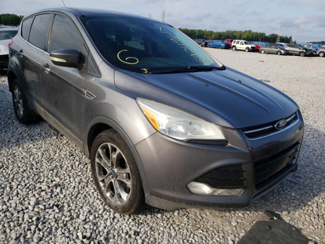 Ford Escape sel (2013)