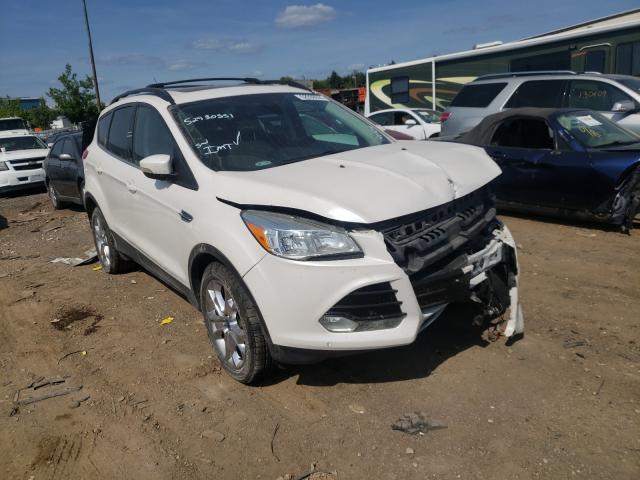 Ford Escape sel (2013)