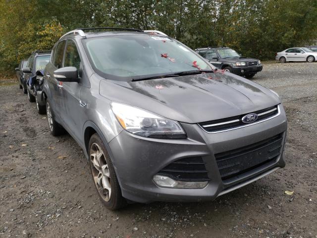Ford Escape tit (2014)