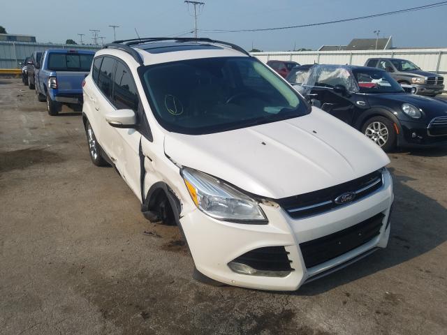 Ford Escape sel (2013)