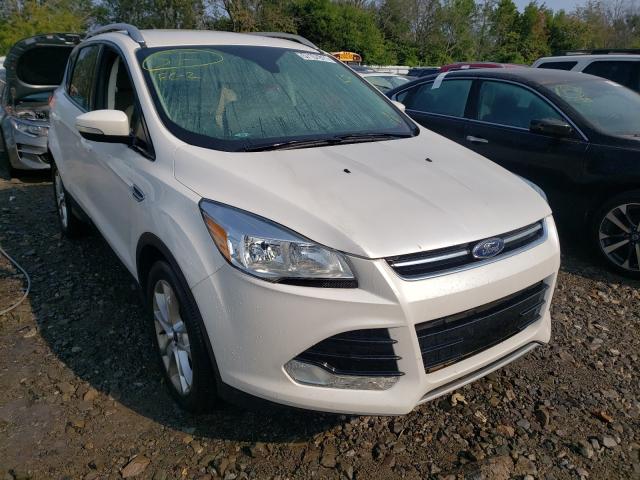 Ford Escape tit (2015)