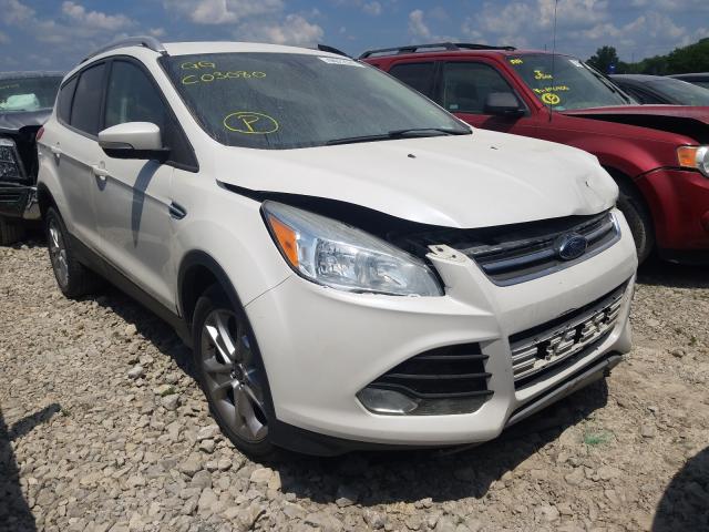 Ford Escape tit (2015)