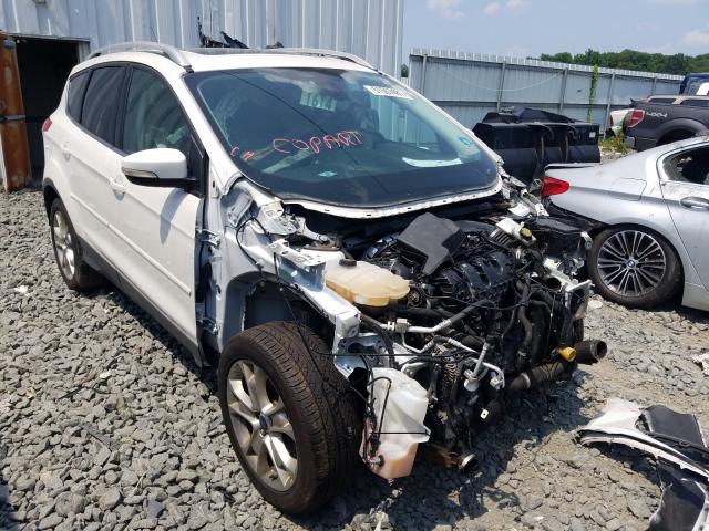 Ford Escape tit (2015)