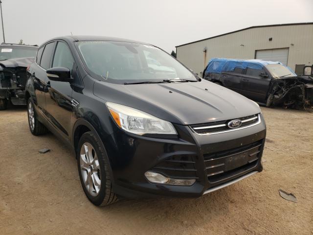 Ford Escape sel (2013)
