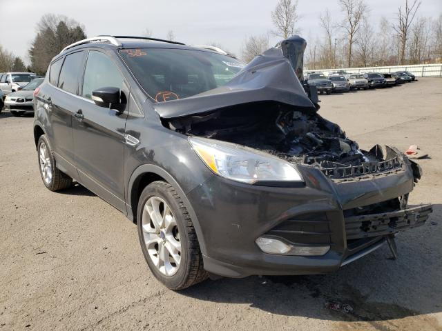 Ford Escape tit (2014)