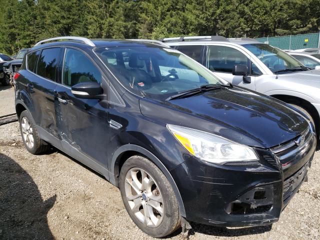 Ford Escape tit (2014)