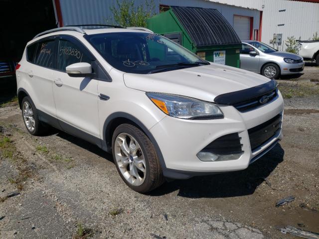 Ford Escape tit (2014)
