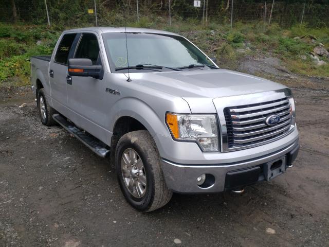 Ford F-150 (2010)