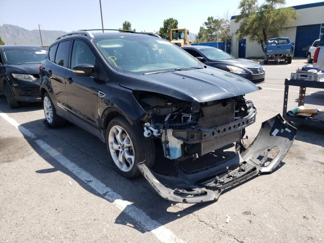 Ford Escape tit (2013)