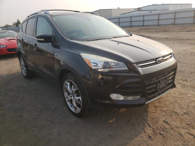 Ford Escape tit (2013)