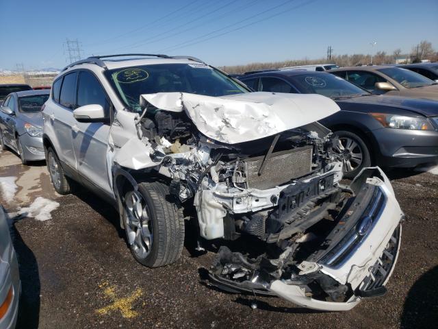 Ford Escape tit (2014)