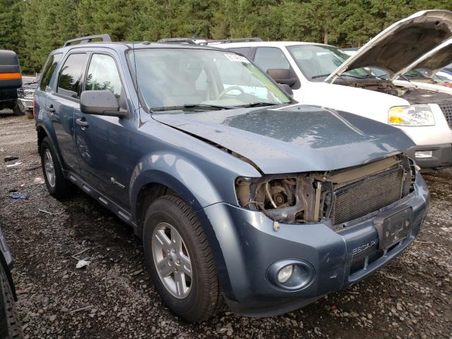 Ford Escape hyb (2010)