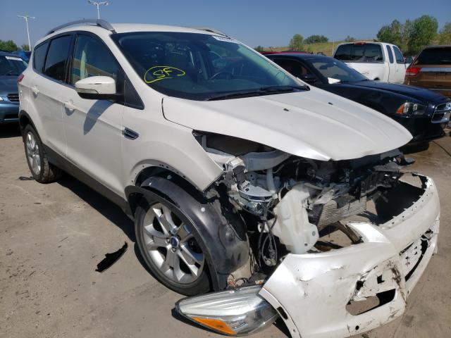 Ford Escape tit (2015)