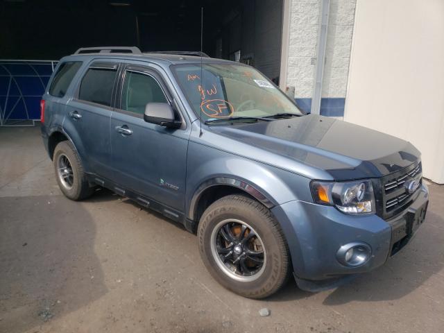 Ford Escape hyb (2011)
