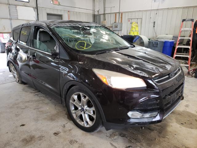 Ford Escape sel (2013)